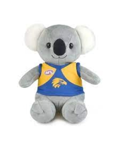 Koala West Coast