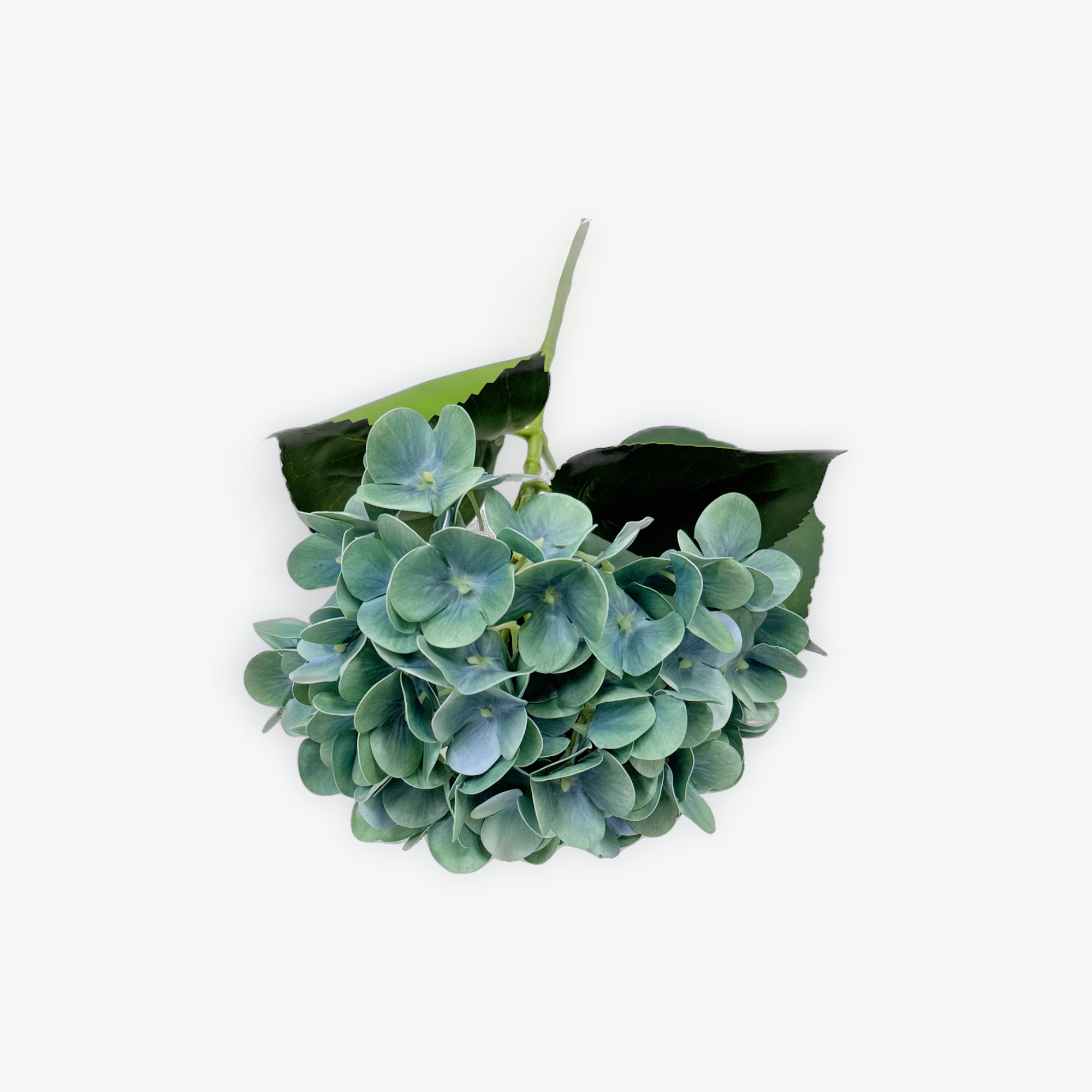 Hydrangea Blue Boquet