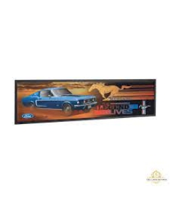 Ford Mustang GT Fastback Bar Runner