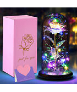 Preserved Rose in Glass Dome