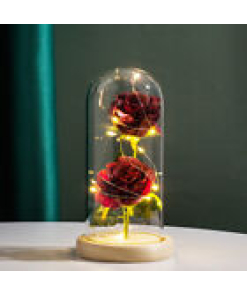 Rose in Glass Forever