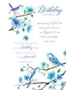 Birthday Wishes Card