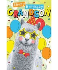 Happy Birthday Grandson Card