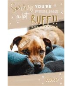 Sorry You're Feeling A Bit Ruff!! Card
