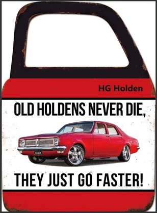 HG Holden Door With Mirror