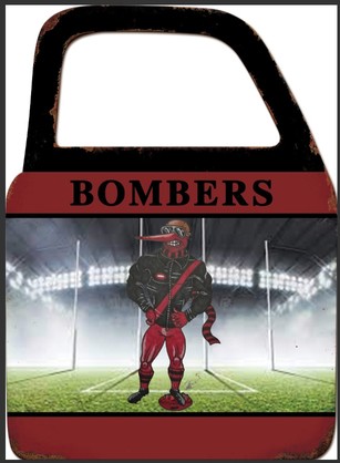 Bombers Door With Mirror