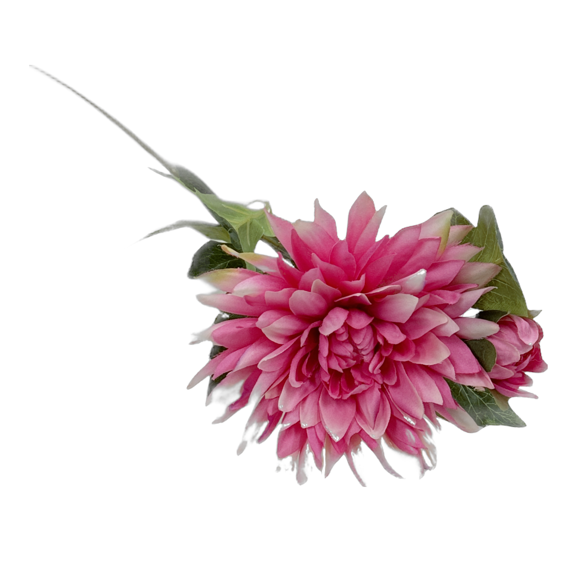 Dahlia Stem 60cm