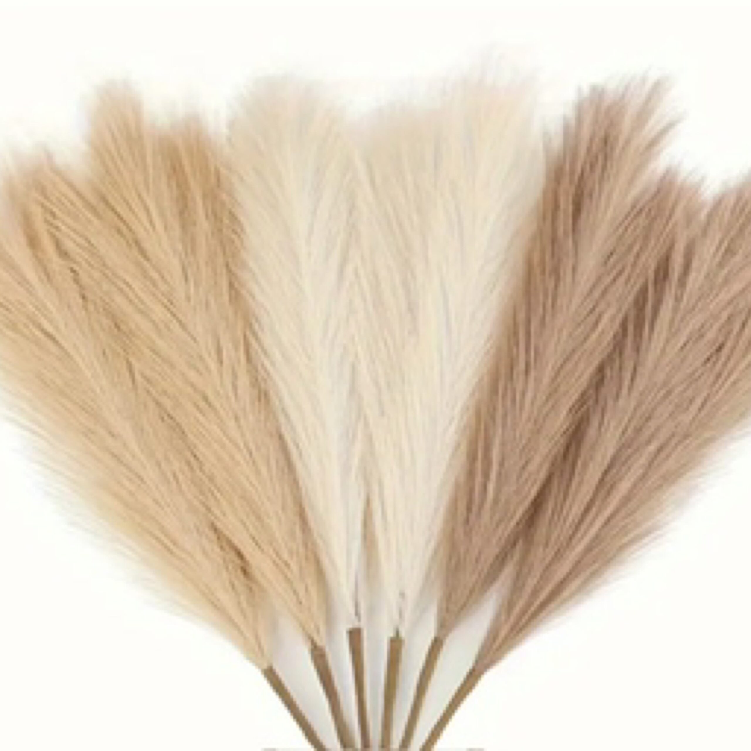 Imitation Pampas Tans 49cm