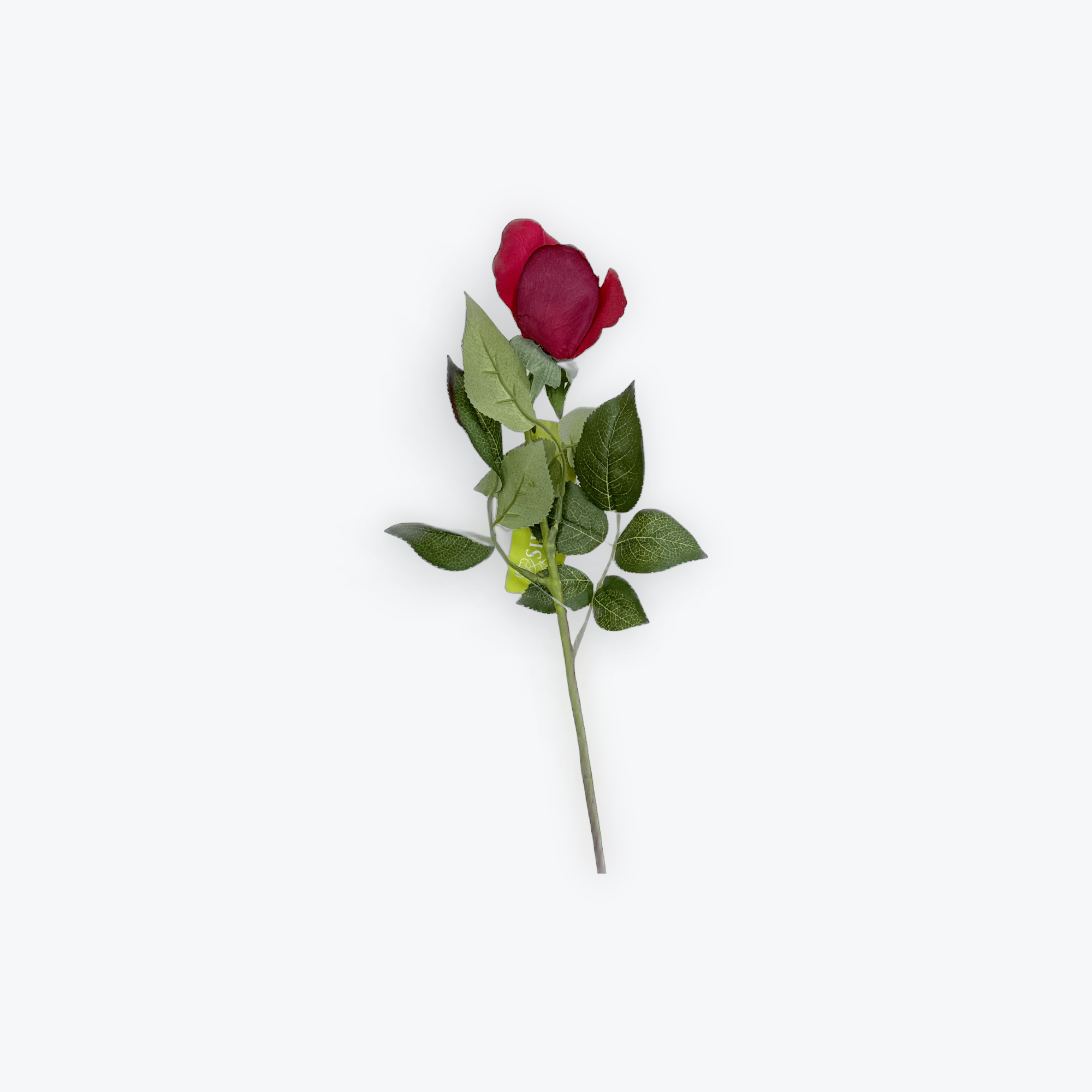 Siena Rose Bud Real Touch Red (60cmH)