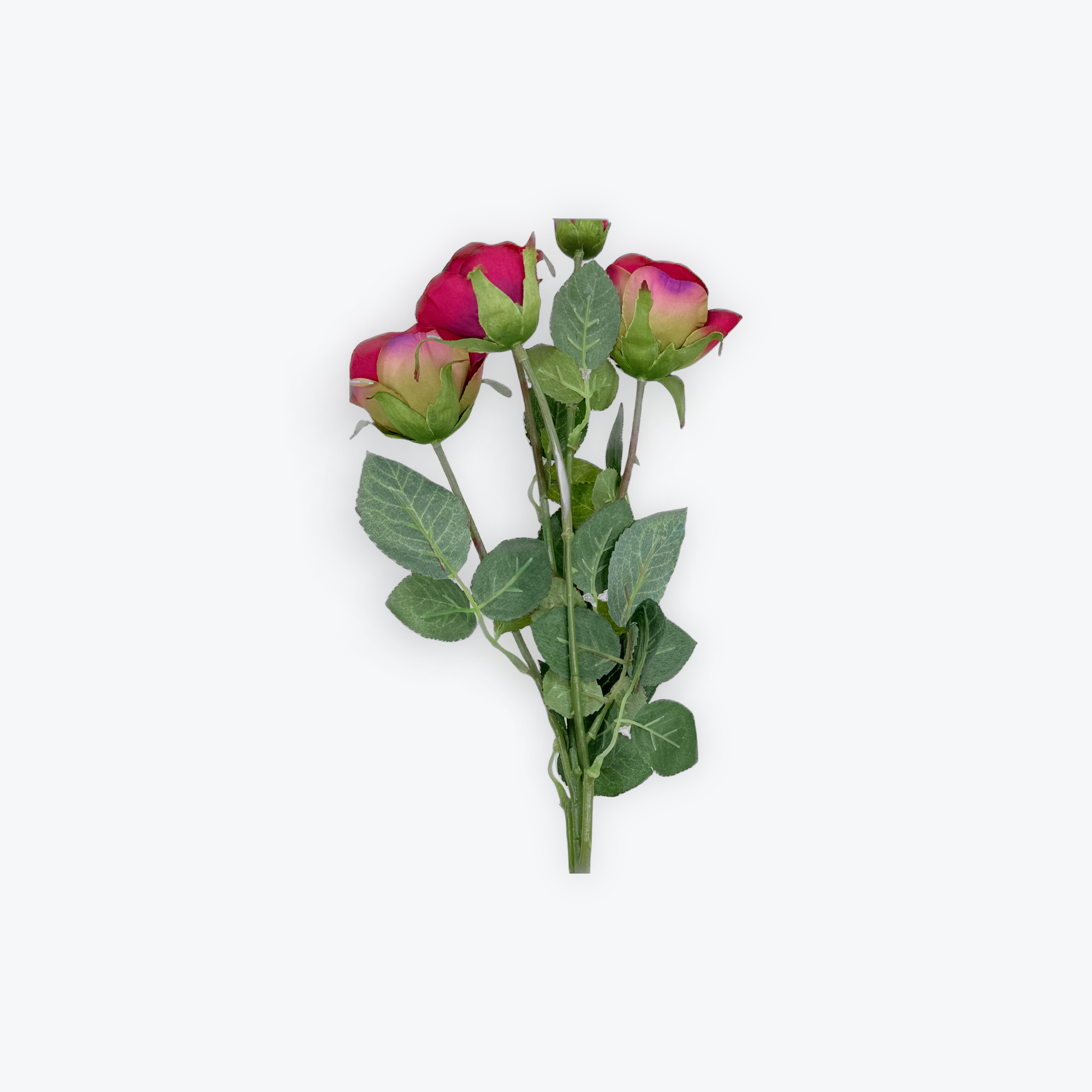 Siena Rose 5 BudS Real Touch Red (60cmH) (1)
