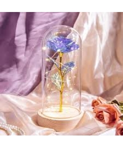Preserved Eternal Rose In Glass Galaxy