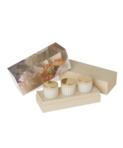 In Bloom Mini Soy Candle Trio
