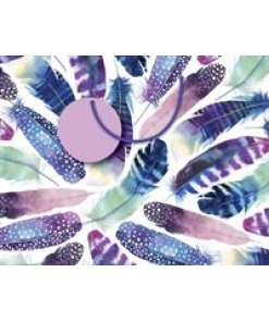 Gift Bag Feathers