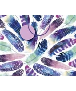 Gift Bag Feathers