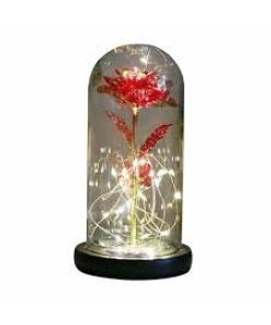 Preserved Eternal Rose In Glass Red