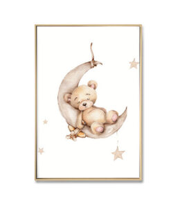 Baby Bear on Moon