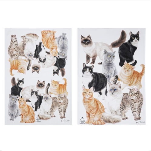 Purrrfect Moments 2pk Kitchen Towel