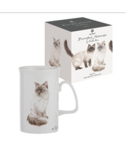 Purrrfect Moments Ragdoll