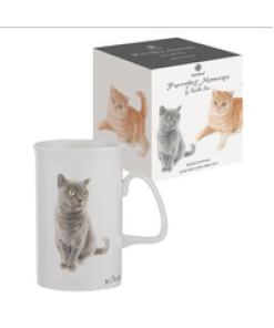 Purrrfect Moments British Short Hair