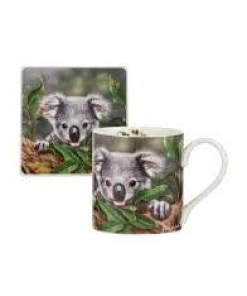 Babies of the Bush Koala
