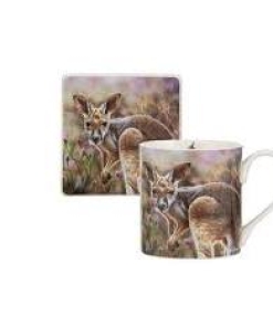 Babies of the Bush Kangaroo