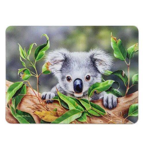 Babies Of The Bush Koala Surface