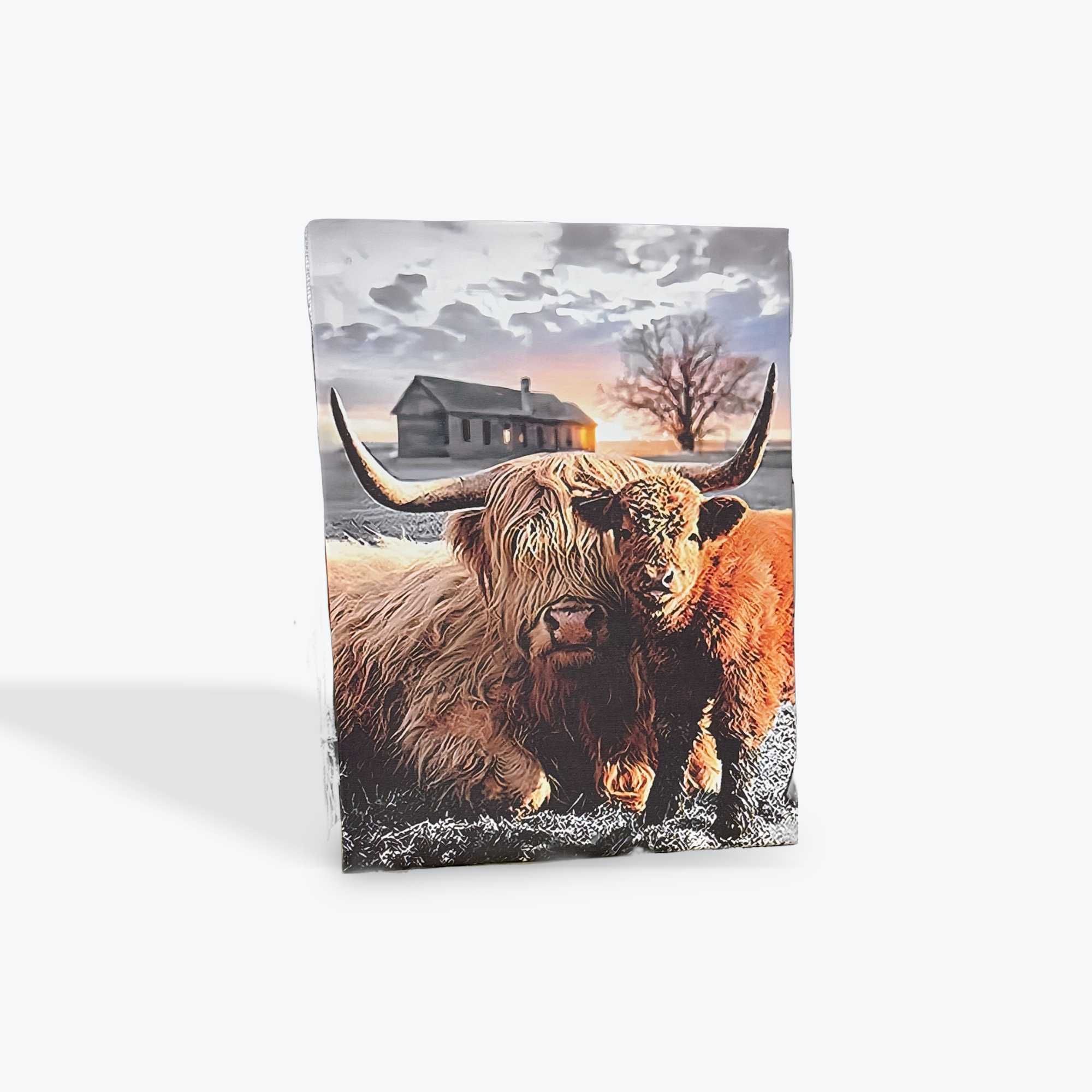 Highland Cow Canvas 30cm x 40cm