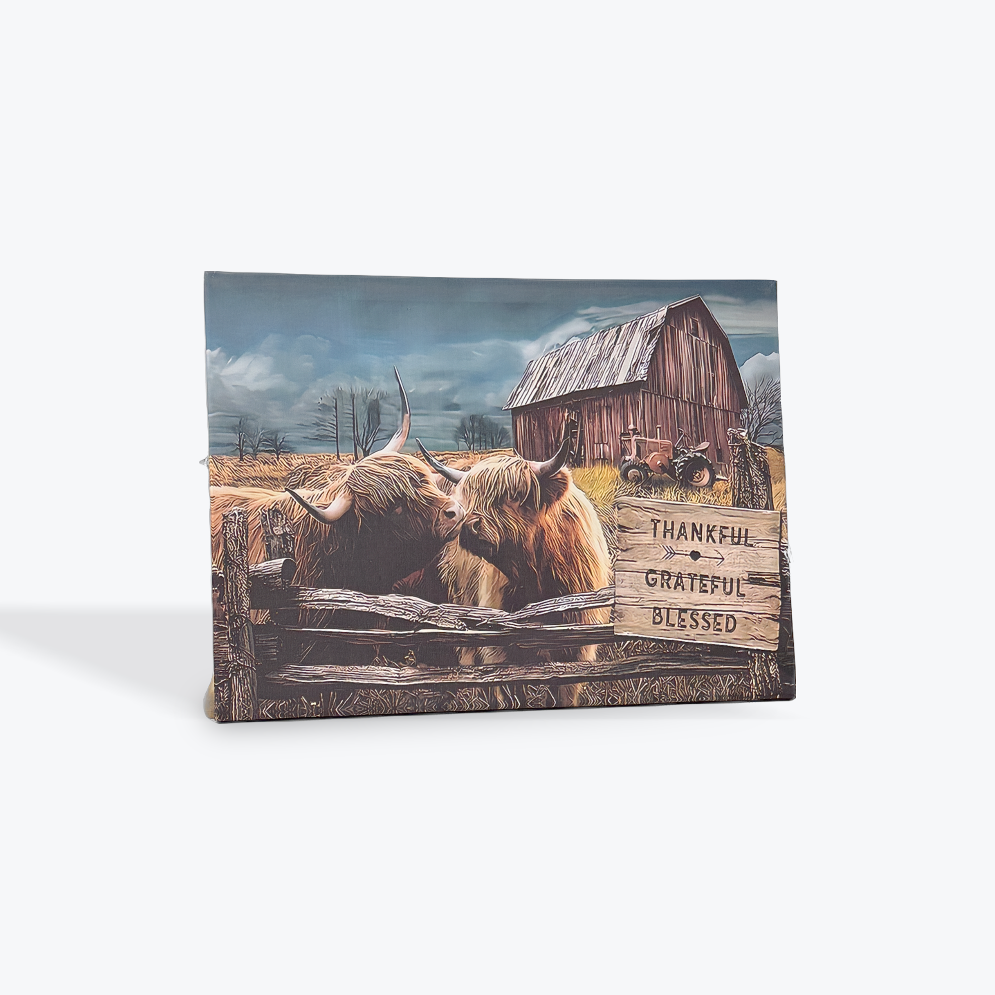 Highland Cow Canvas 30cm x 40cm