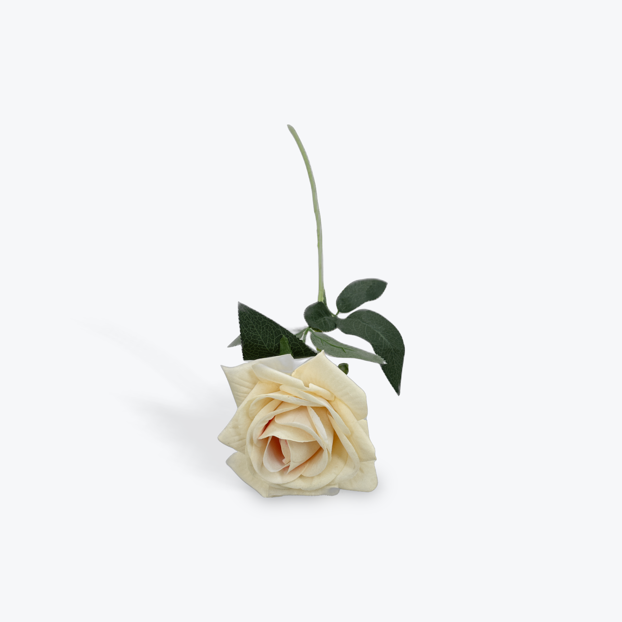 Velvet Cream Rose Stem