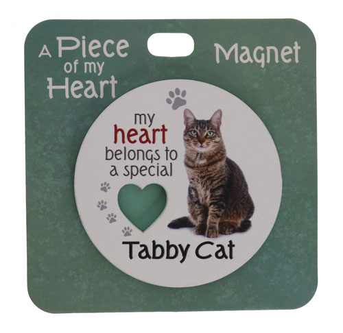 Cat tabby magnet
