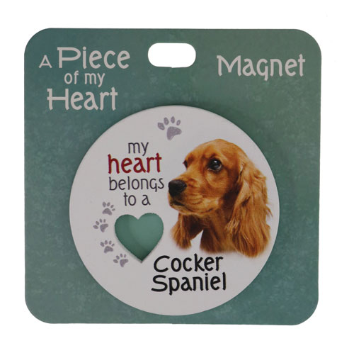 Cocker spaniel magnet