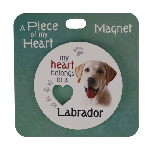 Labrador gold magnet