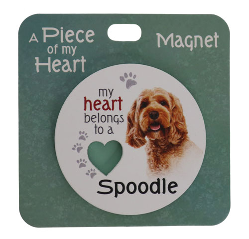 Spoodle magnet