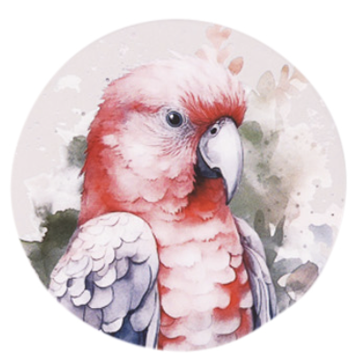 Native Blooms Galah Ceramic Coaster