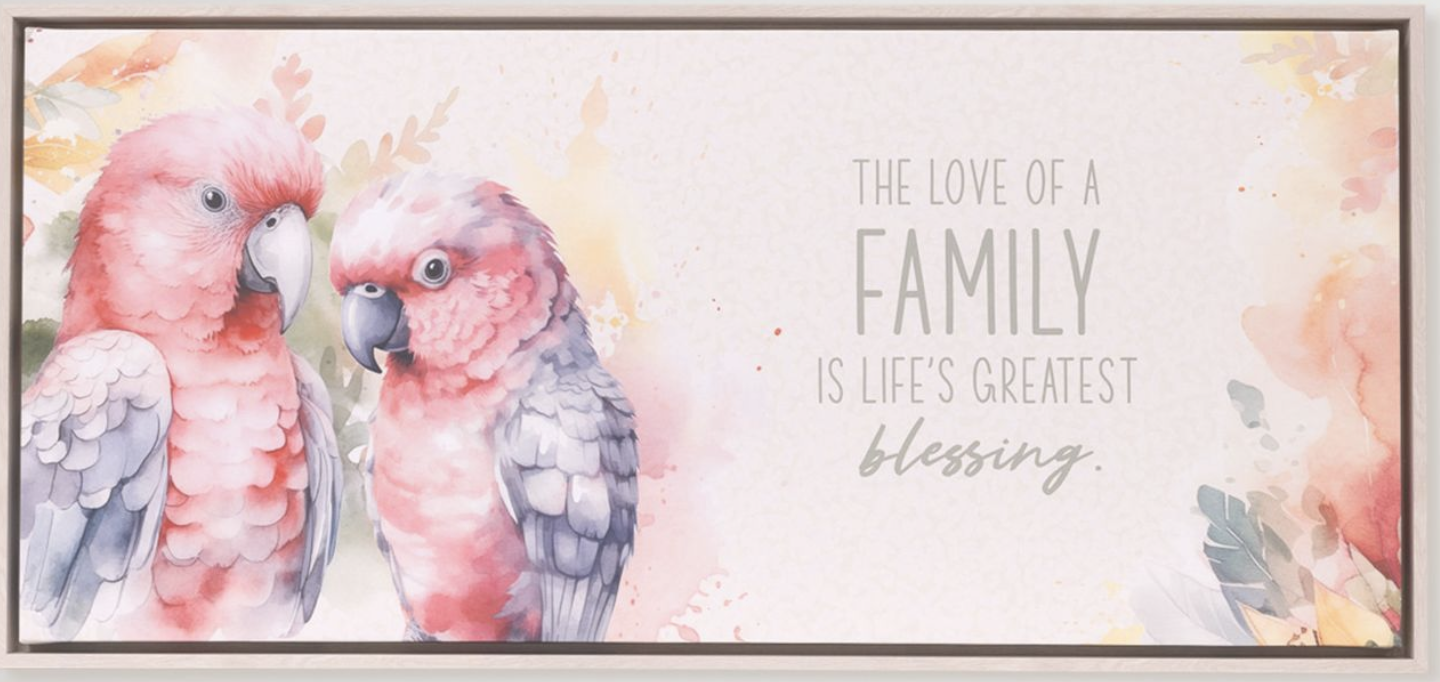 Native Blooms Galah Framed Canvas