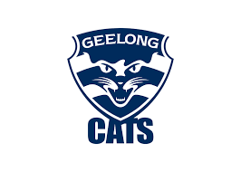 Geelong 2025