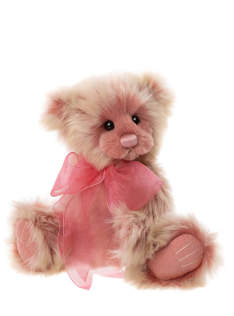 Charlie Bear Saturday