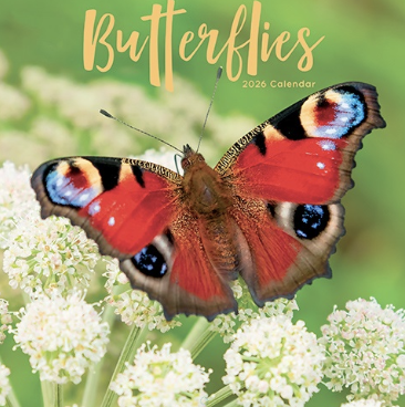 2026 Calendar Butterflies