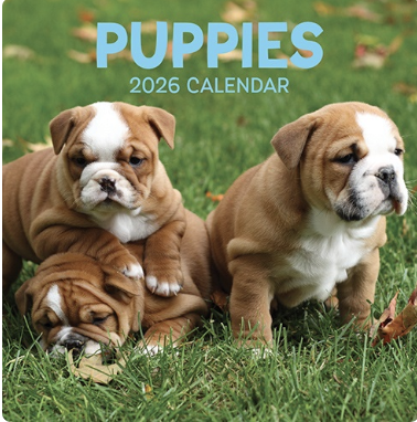 2026 Calendar Puppies