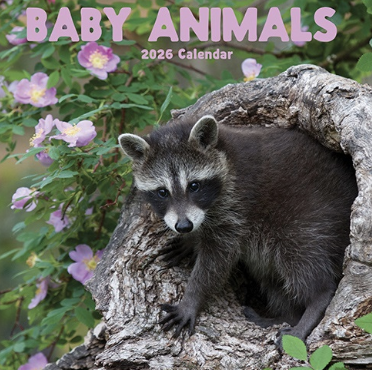 2026 Calendar Baby Animals