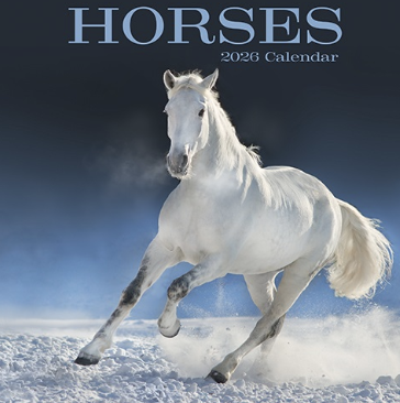 2026 Calendar Horses