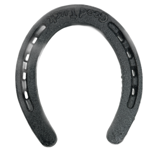 Horse Shoes Decoration