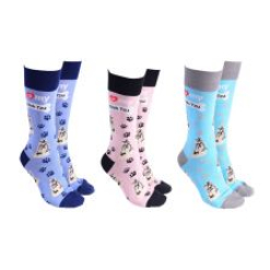 DOG SOCIETY SHIH TZU