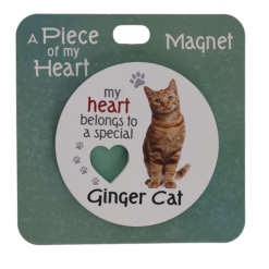 Cat ginger magnet