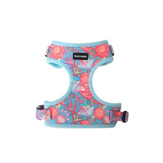 Frank Barker Floral Harness