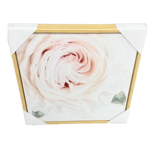 Rose Bloom Art Canvas 30cm
