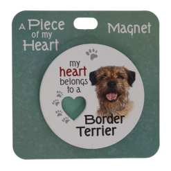 Border terrier magnet