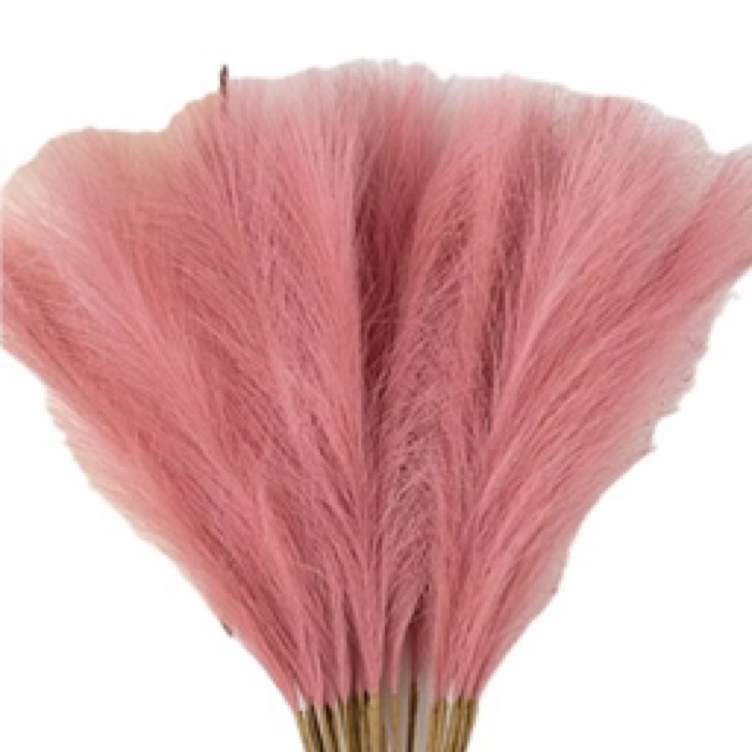Imitation Pampas Rose 56cm