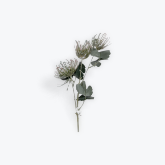 Pincushion Protea Artificial Stem 68cm