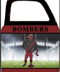 Bombers Door With Mirror